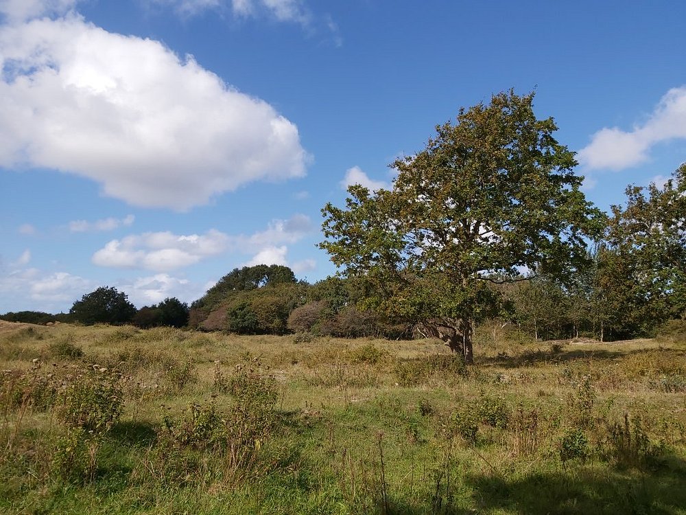 Hemelvaartswandeling.jpg