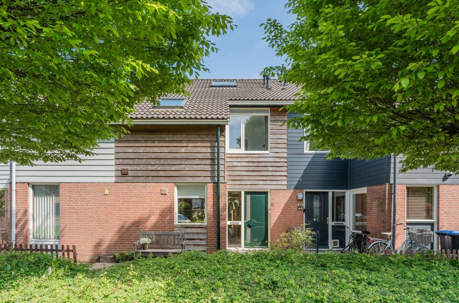 Hoornblad 6