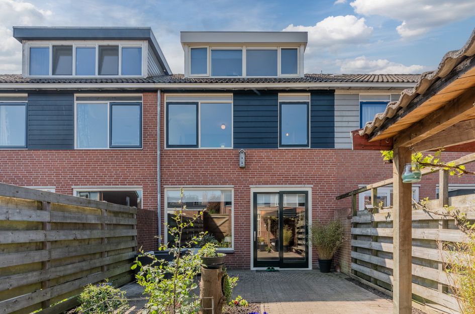 Hoornblad 6