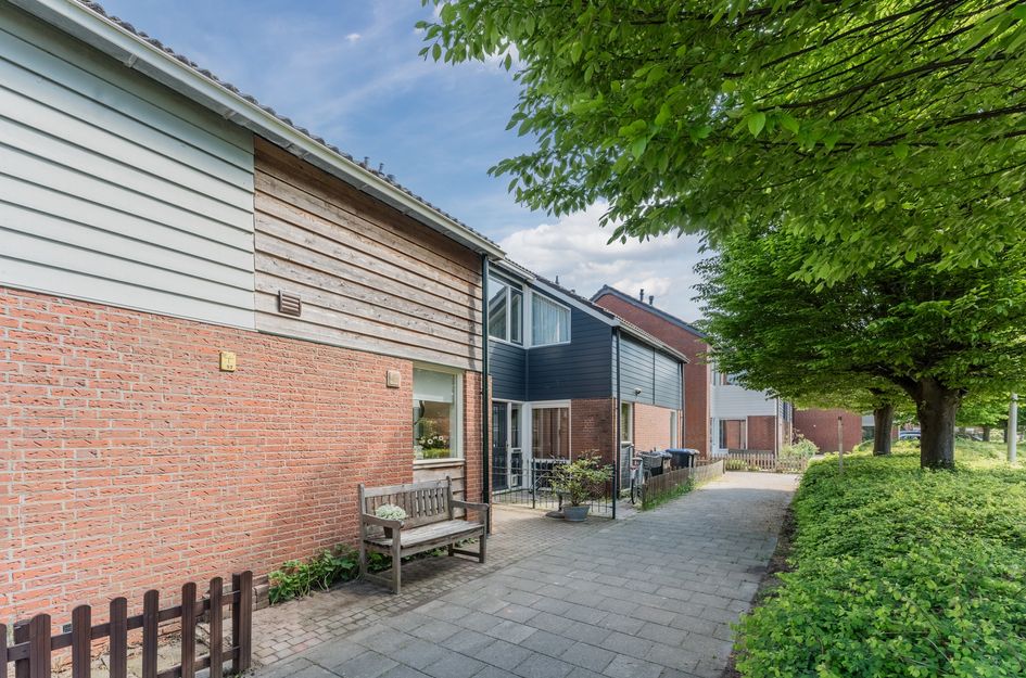 Hoornblad 6
