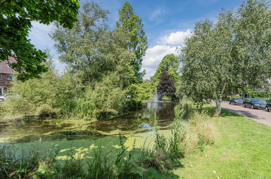 Oranjeplantsoen 9