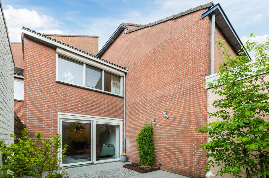 Zwanebloem 4