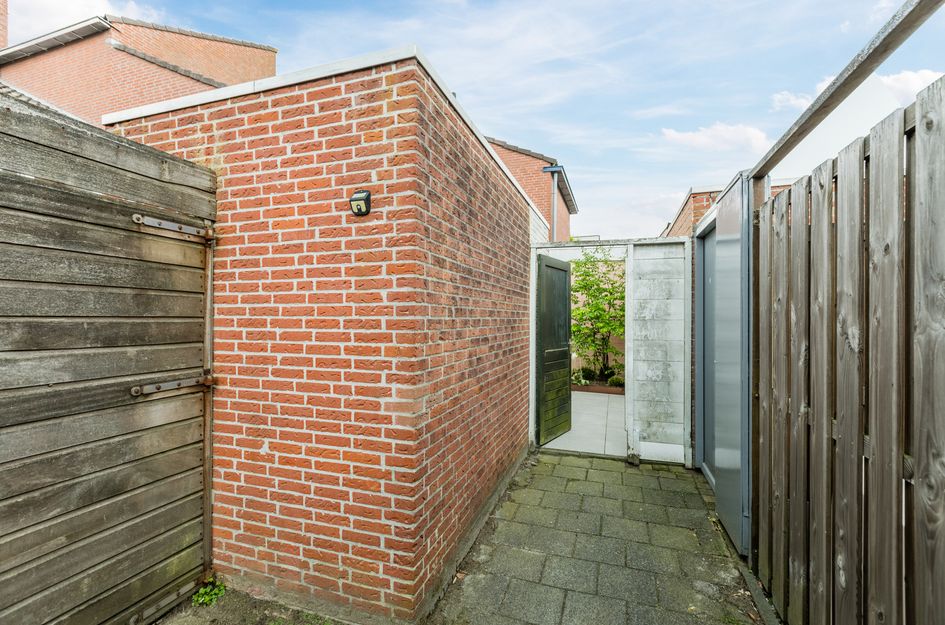Zwanebloem 4