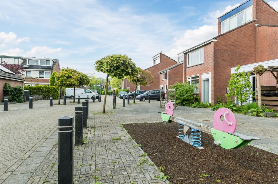 Zwanebloem 4