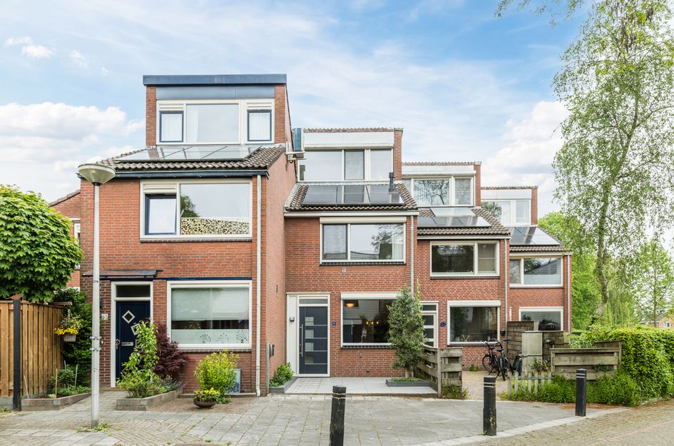 Zwanebloem 4