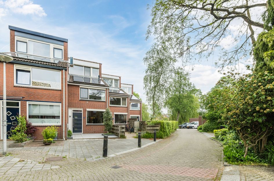 Zwanebloem 4