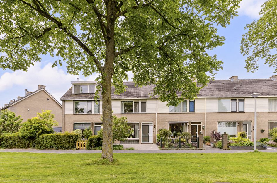 Goudplevier 17