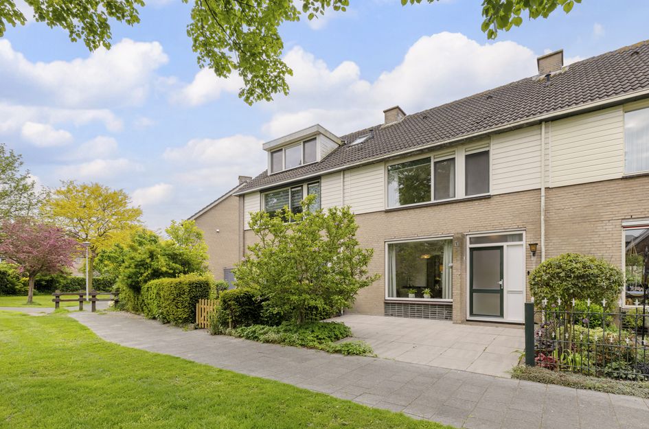 Goudplevier 17