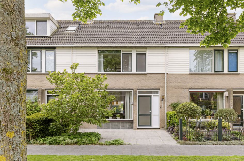 Goudplevier 17