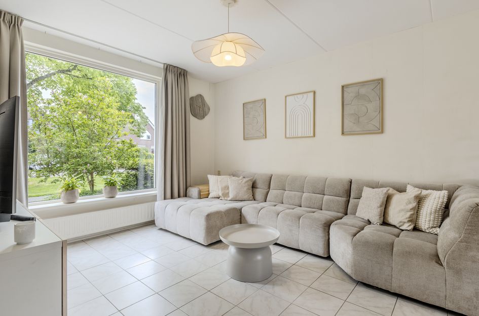 Goudplevier 17