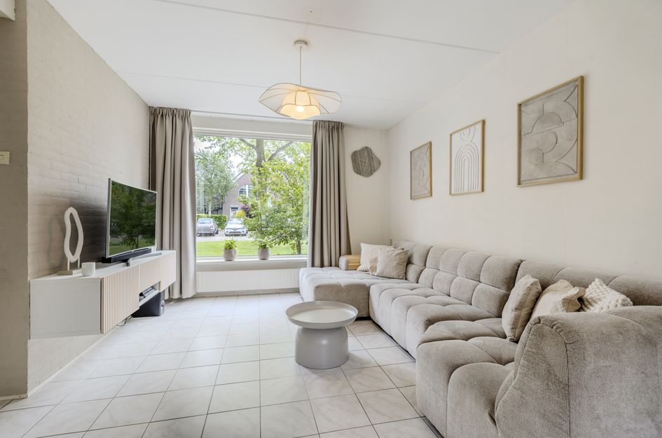 Goudplevier 17