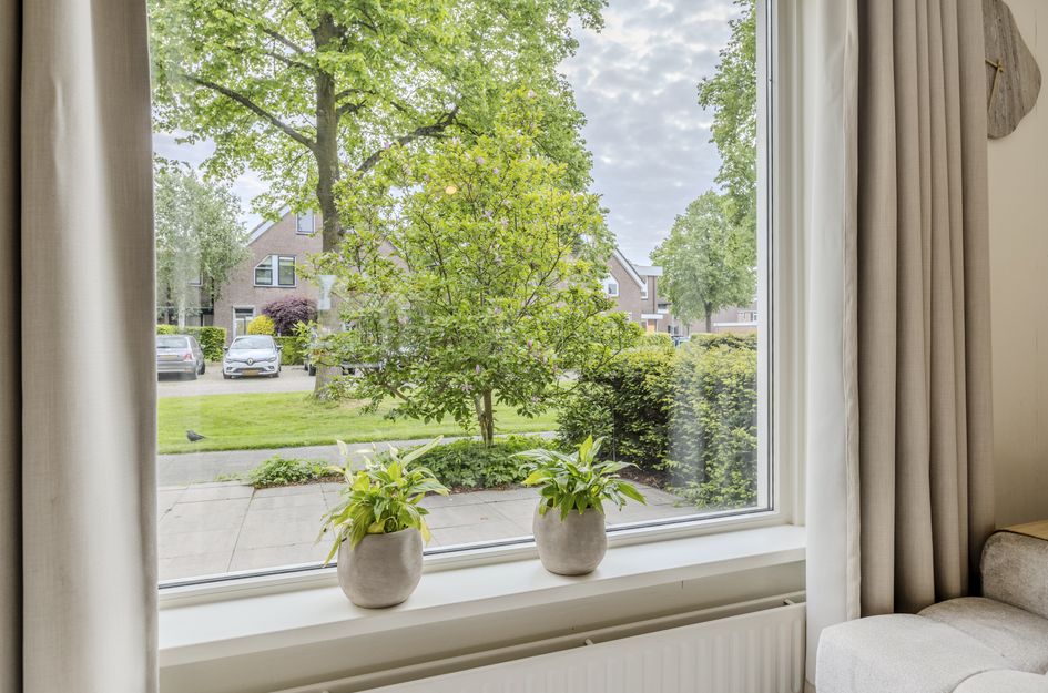 Goudplevier 17