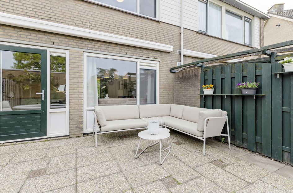 Goudplevier 17