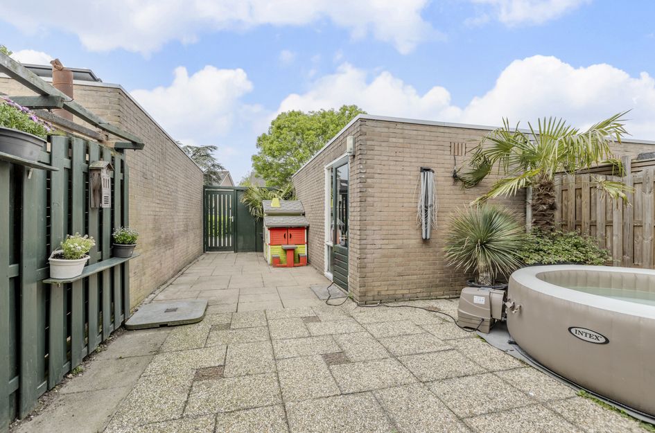 Goudplevier 17