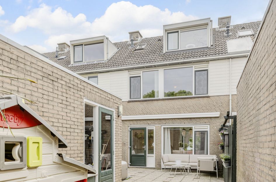 Goudplevier 17