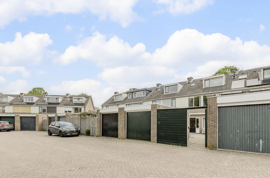 Goudplevier 17
