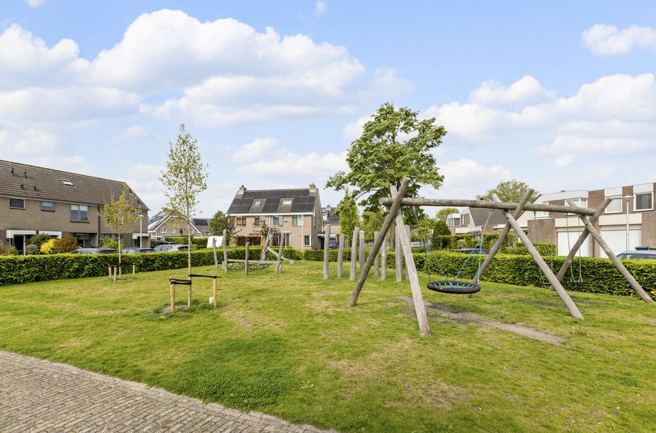 Goudplevier 17