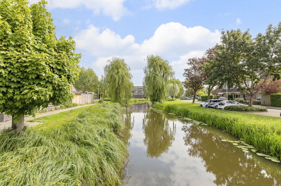 Goudplevier 17