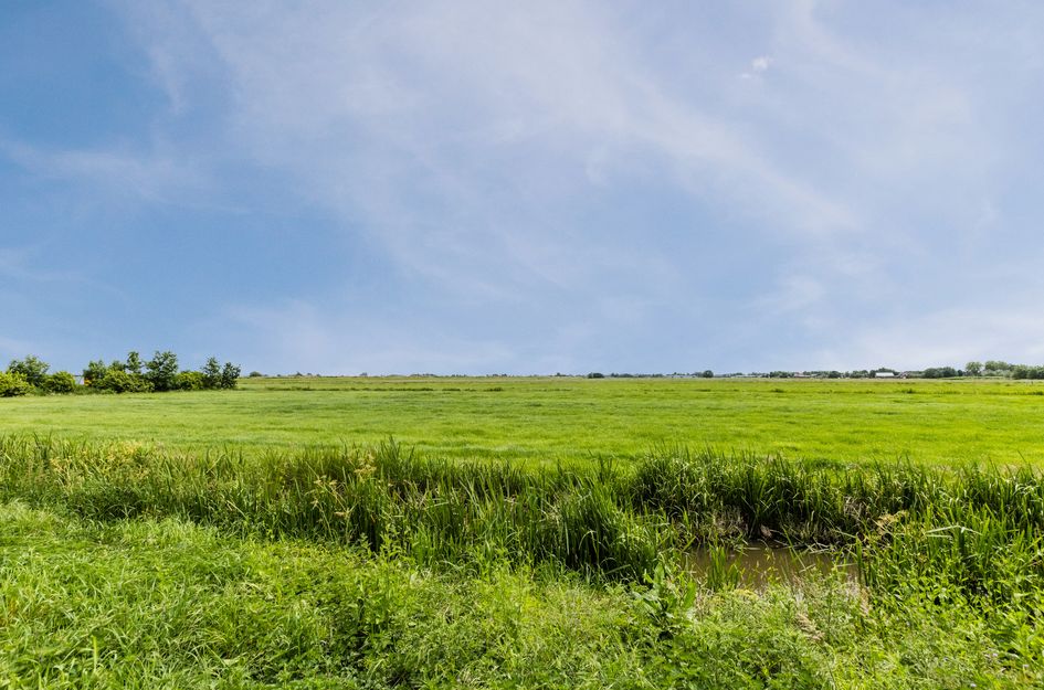 Abeelhof 4