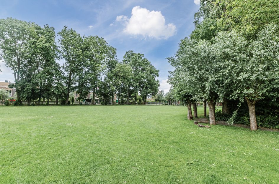 Rijnhof 53