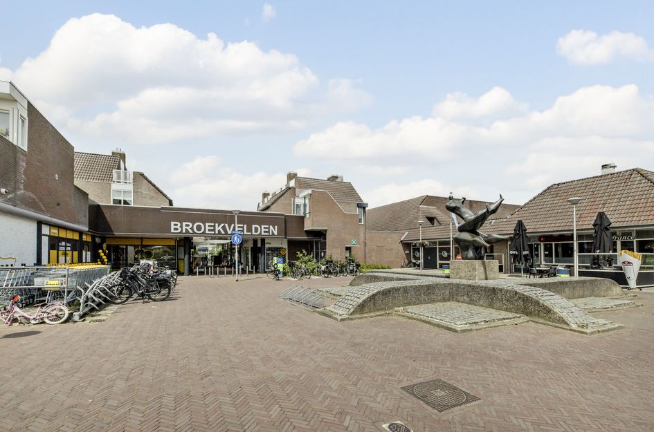 Zwenkgras 7