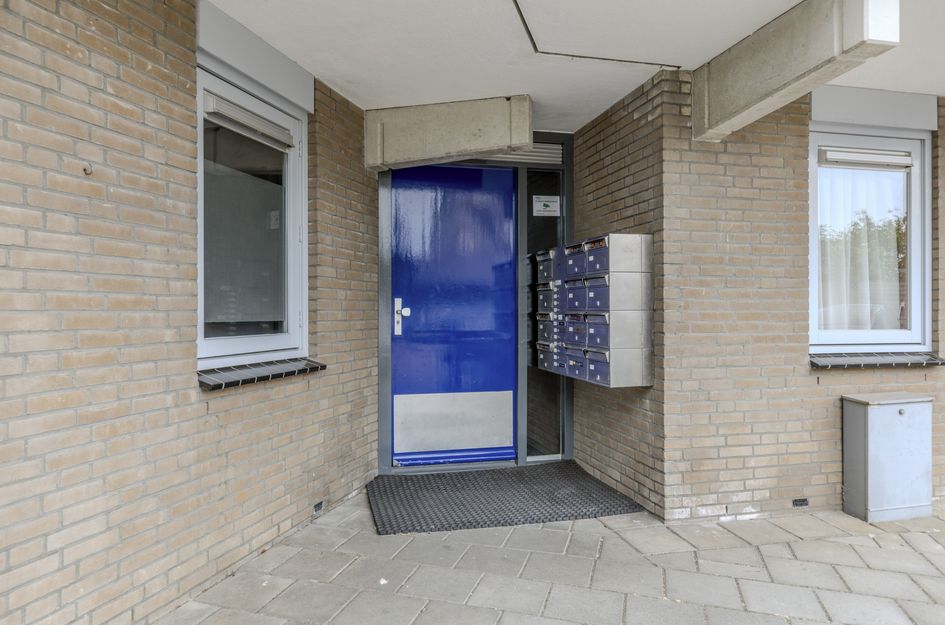 De Werf 15