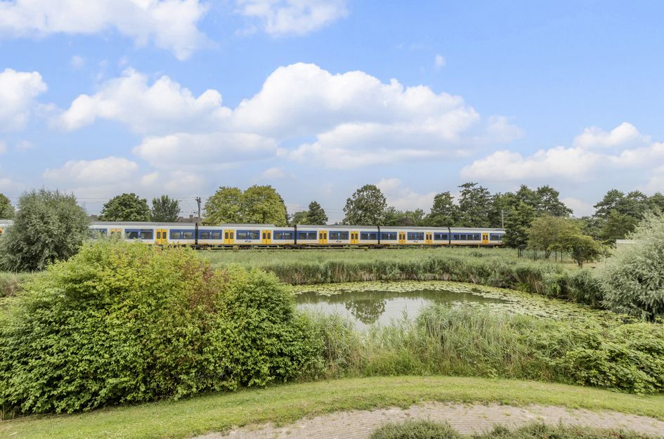 De Werf 15