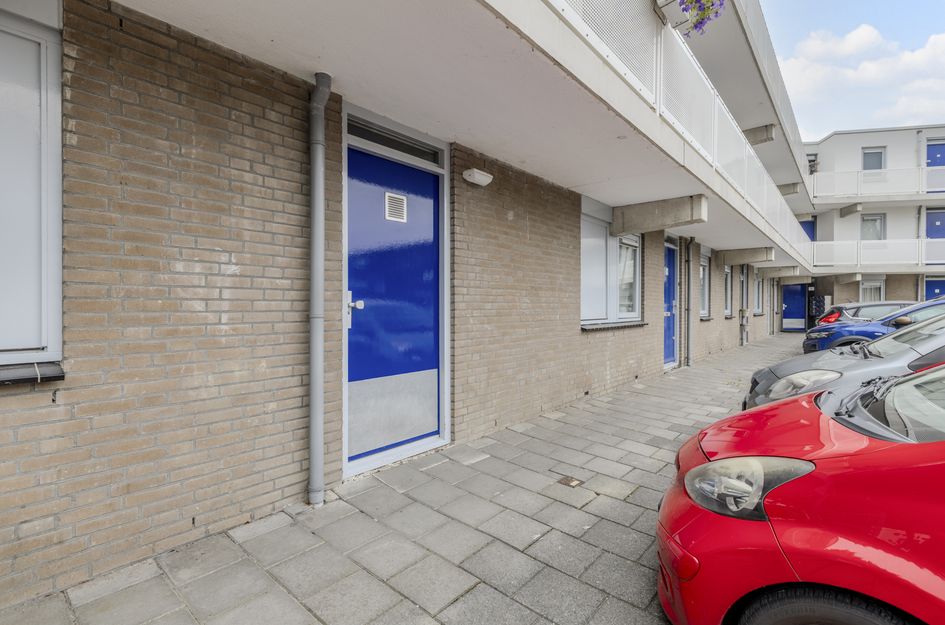De Werf 15