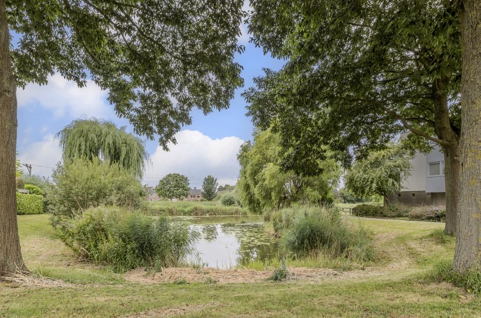 De Werf 15