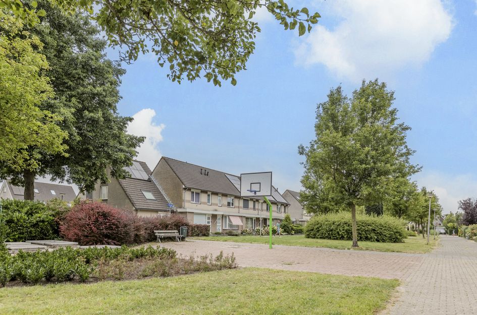 De Werf 15