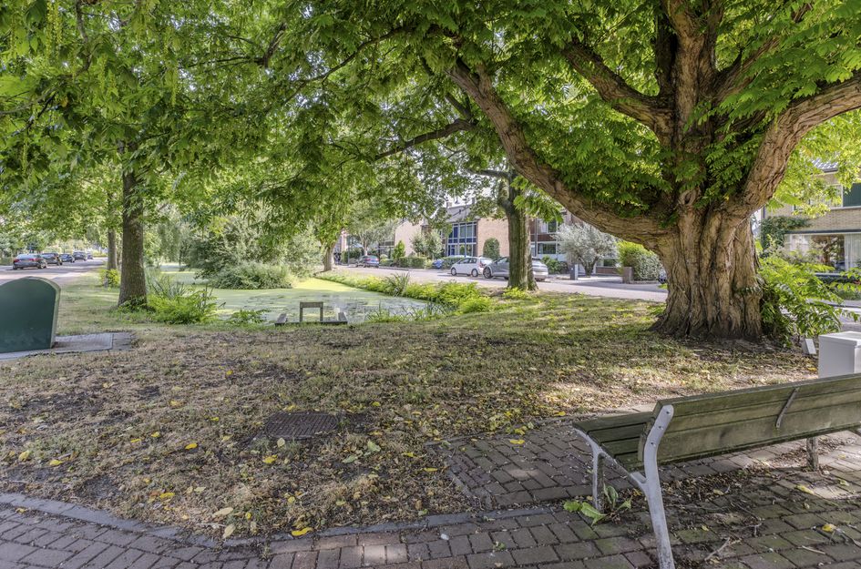 Vijverlaan 15