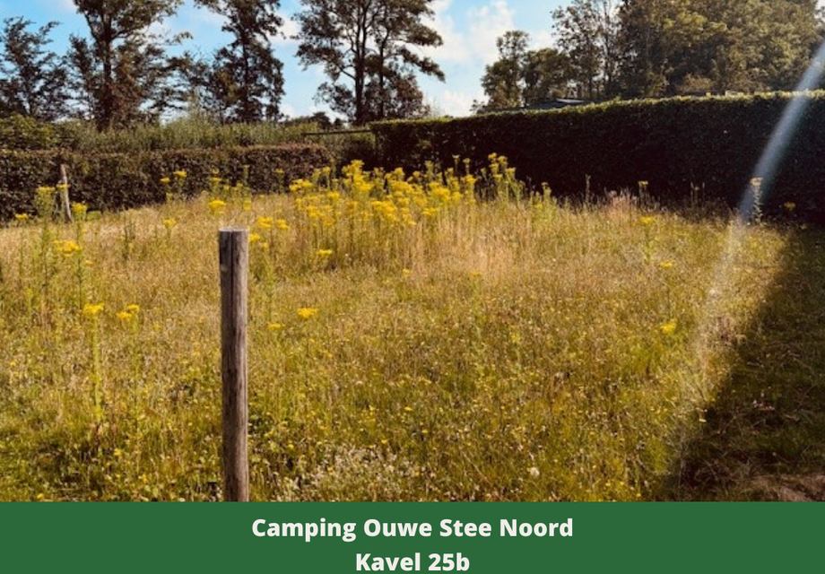 Kavel + nieuwe chalet op camping Ouwe Stee Noord in Ouddorp