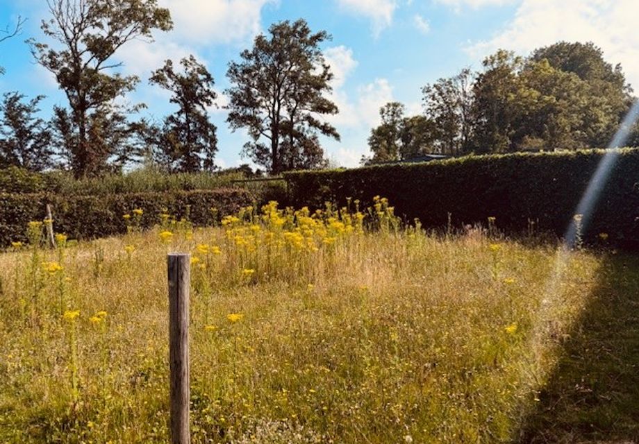 Kavels beschikbaar in Ouddorp, Sirjandsland & Oostvoorne