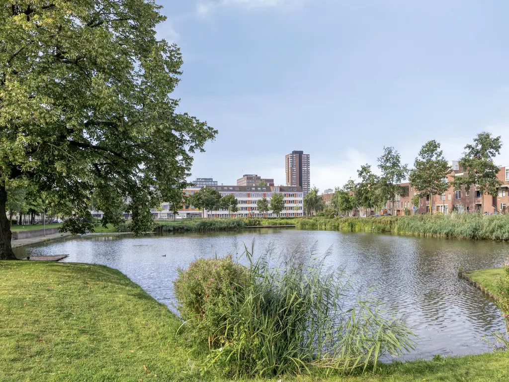 Ringersplaats 86, ROTTERDAM