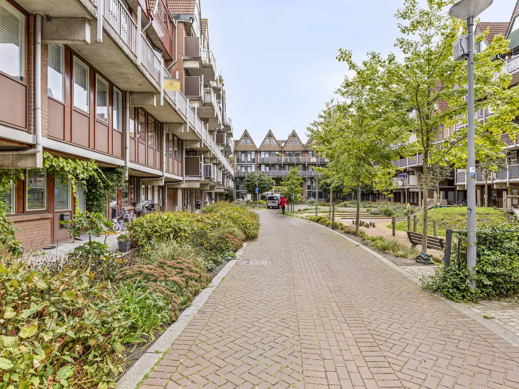 Stroveer 146, ROTTERDAM