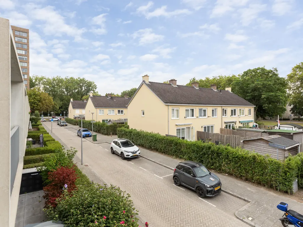 Doornenburg 29, ROTTERDAM