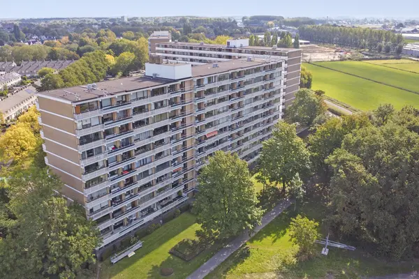 Seringenplantsoen 459