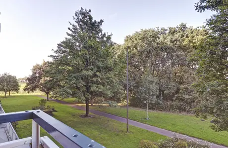 Seringenplantsoen 459