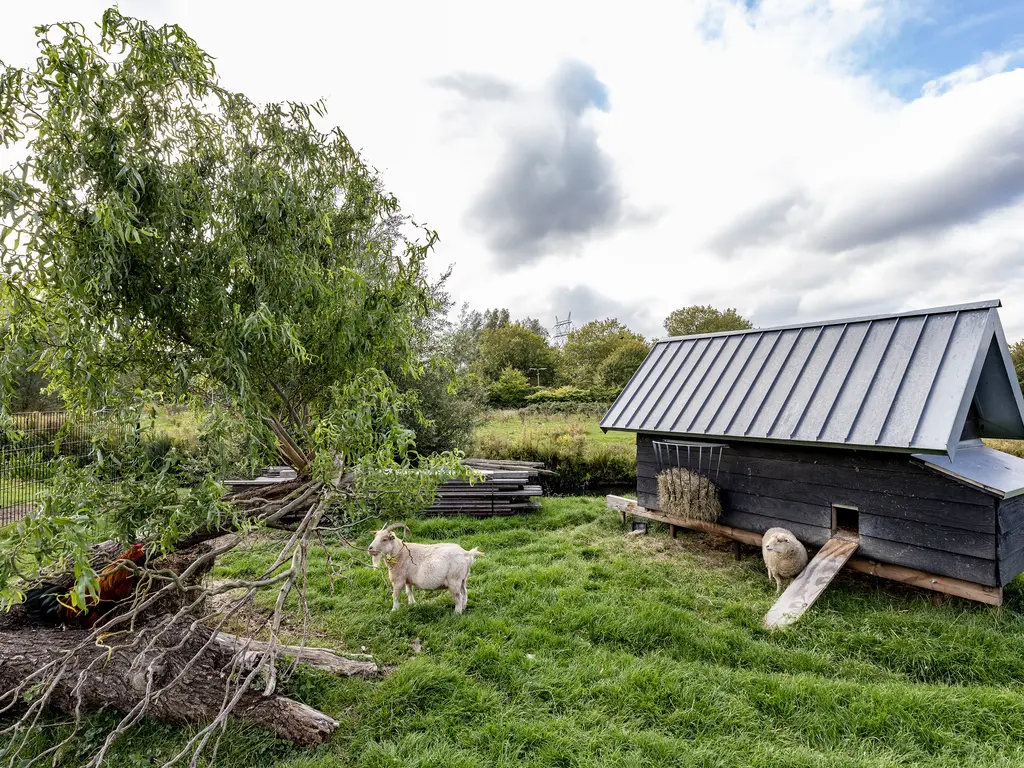 Jacob Vrijstraat 19, ROTTERDAM