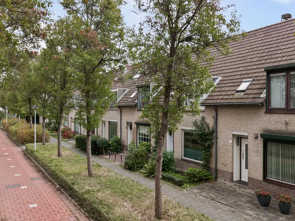 Van Pallandtvliet 10, BARENDRECHT