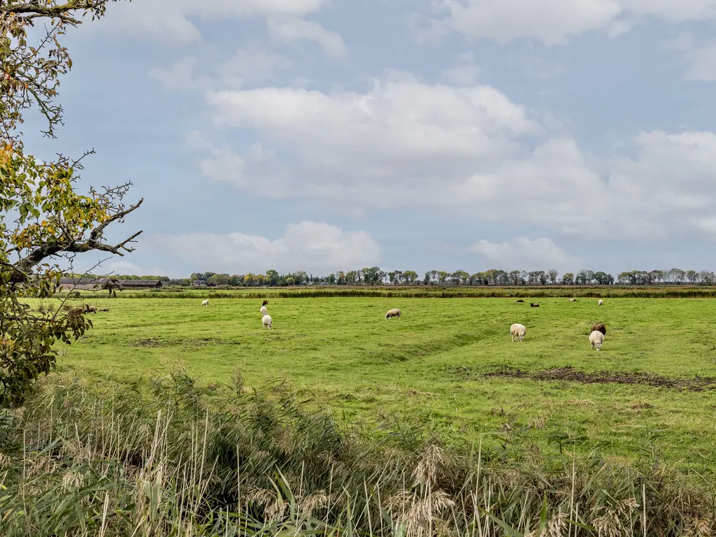 Weelsedijk 46, STRIJEN