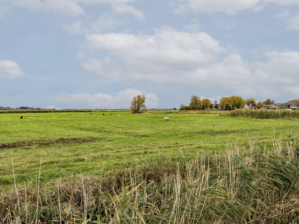 Weelsedijk 46, STRIJEN