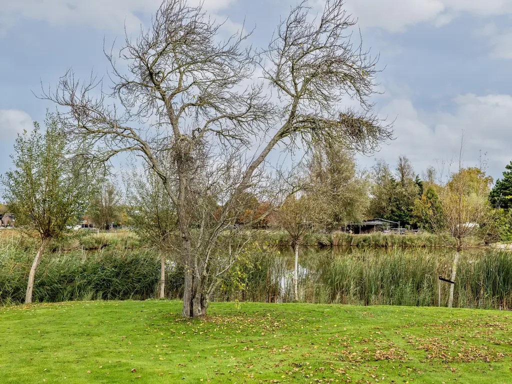 Weelsedijk 46, STRIJEN