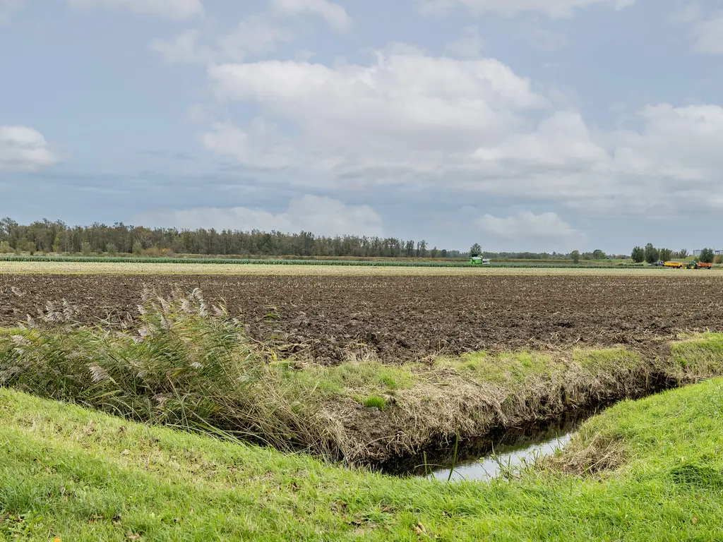Waterlelie 14, HEERJANSDAM