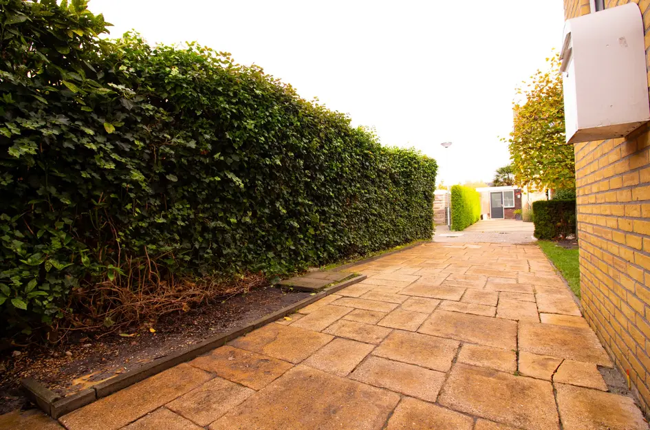 Hertog Albrechtstraat 24