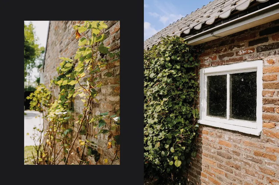 Burgemeester van Suchtelenstraat 17