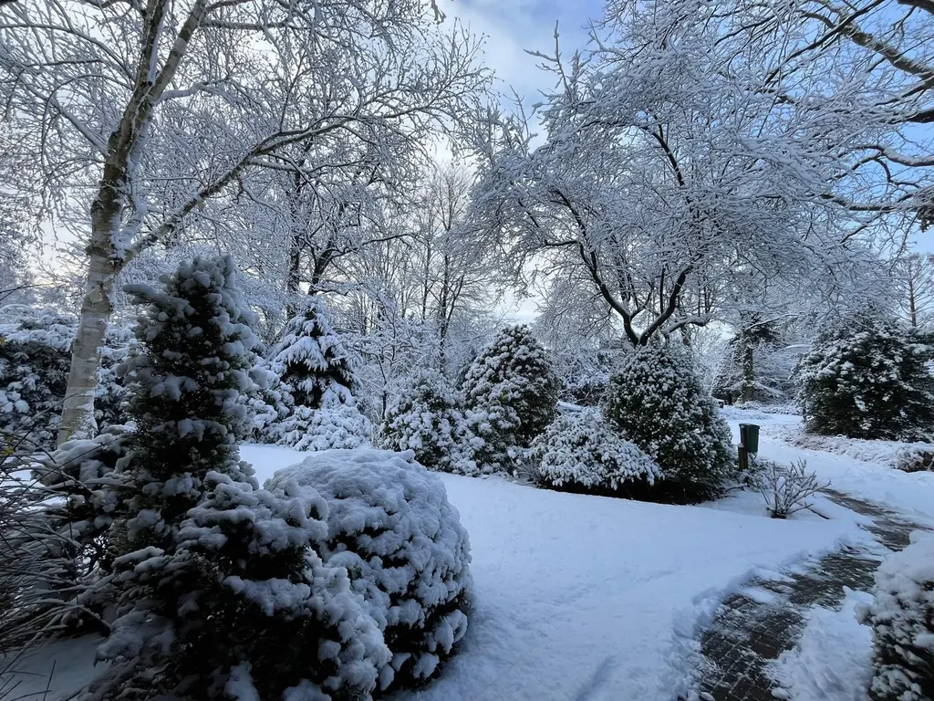 Sporkehout 38, GELDROP