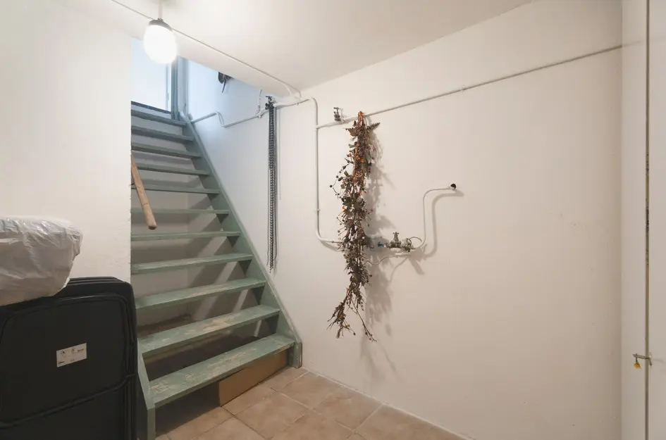 Bisschop de Vetplein 12