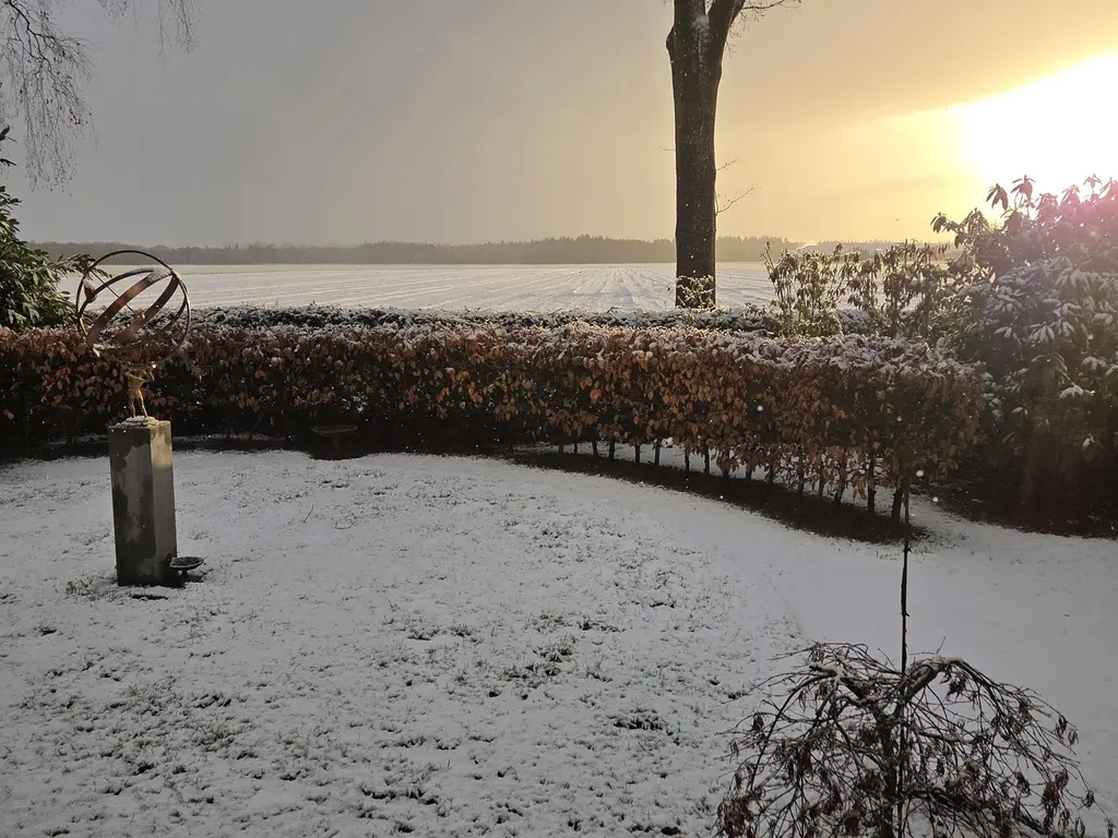 De Stille Wille 323, OOST WEST EN MIDDELBEERS