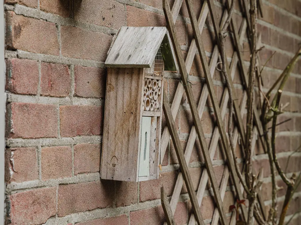 Nieuwstraat 100, GILZE